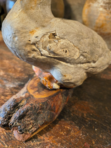 Antique Early Concrete Duck