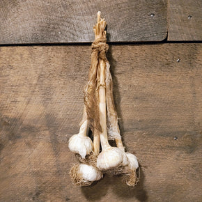 Primitive Dried Hanging Garlic