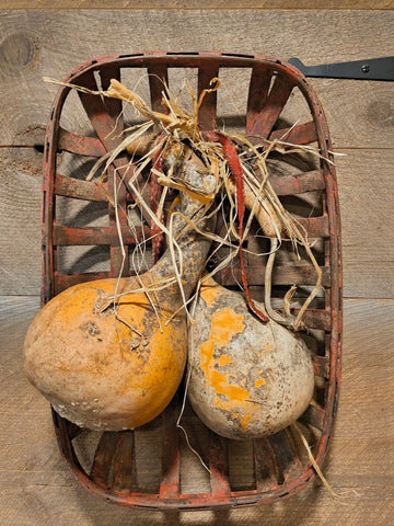 Primitive Tobacco Basket w/ Two Gourds.