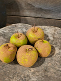 Primitive Green Apples
