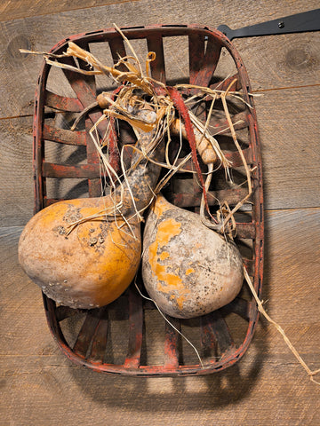 Primitive Tobacco Basket w/ Two Gourds.