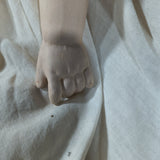 Antique 25" German Bisque/China Head Doll - Stuffed Cloth Body, Flawless Porcelain Limbs c.1890s