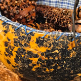 Primitive Lined Gourd w/ Dry Goods